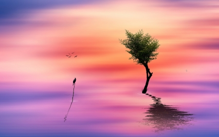 Sea of pink - purple, fantasy, bird, pink, water, orange, tree, sea