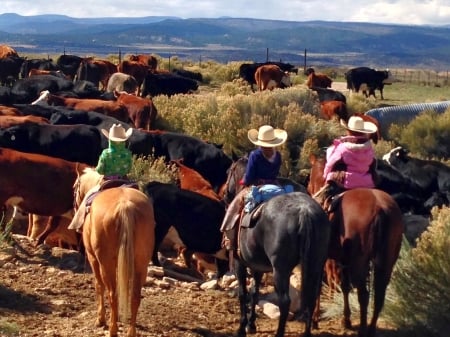 Hearding Cattle - girls, women, style, fun, models, female, cowgirls, boots, hats, western, horses, cows, cattle, ranch