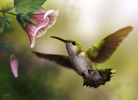 Humming-bird - bird, green, painting, hummingbird, flower, art, pink