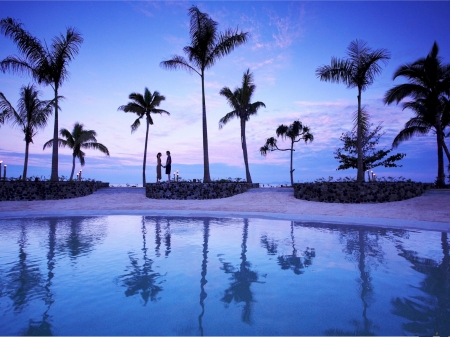 Beach Paradise - reflection, beach, palms, sunset, nature, couple