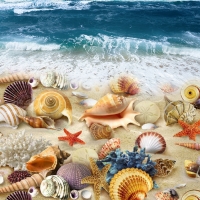 ~*~Treasures of the sea~*~