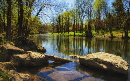 River - Trees, River, Water, Nature