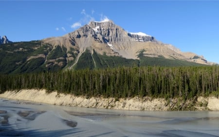 Mountain in Jasper Nat'l. Park, Alberta - forests, river, canada, nature, mountain