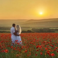 Couple in poppy field