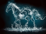 Water Horse