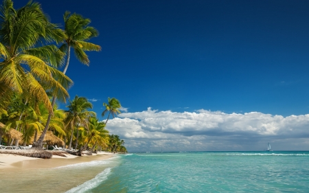 Beach - beach, ocean, wave, nature