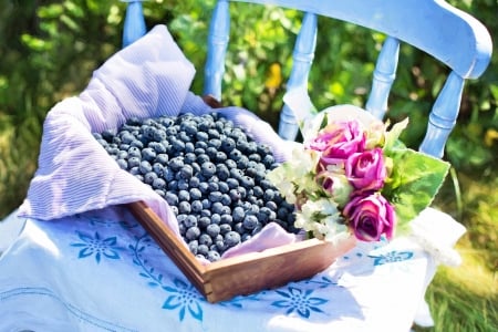 With Love â™¥ - roses, photography, bluberry, summer, rose, blueberries, fruit, chair, blue, beautiful, food, flower