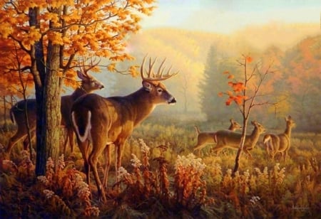 Deer in the Wind - attractions in dreams, forests, trees, draw and paint, animals, deer, nature, autumn beauty, love four seasons, fall, leaves, paintings, colors