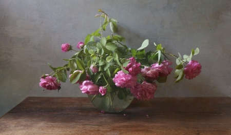 Flowers - flowers, vase, pink, soft