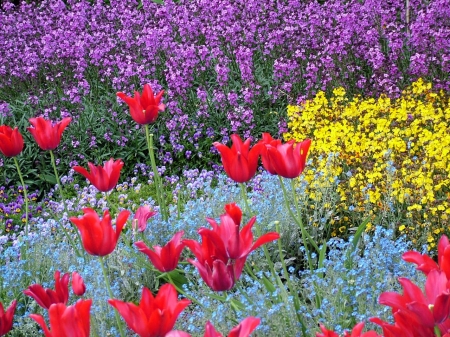 Flower Mix - blossoms, tulips, petals, spring, park, colors