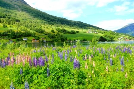 Olden, Nordfjord, Norway - slope, lake, sky, greenery, summer, shore, nature, village, norway, river, beautiful, grass, wildflowers