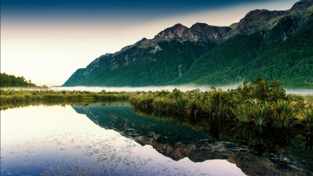 Lake - lake, tree, nature, mountain