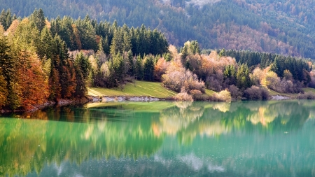 Autumn Forest - beach, forest, river, autumn