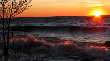 Summer Sunset - summer, trees, sunset, sea, nature, sun, waves