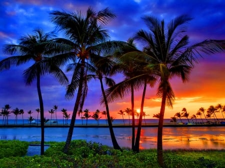 Tropical sundown - palms, summer, sundown, vacation, beach, beautiful, sea, ocean, rest, boats, tropics, colorful, sunset, exotic, paradise, sky