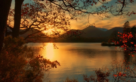 Autumn Time - lake, leaves, trees, sunset