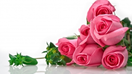 For you! - white, pink, day, mother, green, valentine, rose, flower