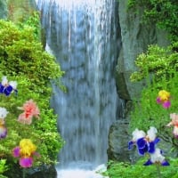 Iris Flower Beside The Waterfall