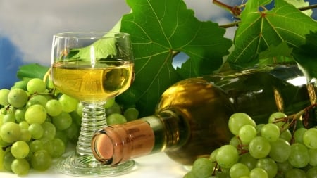 Glass of Wine - grapes, wine, bunch, bottle