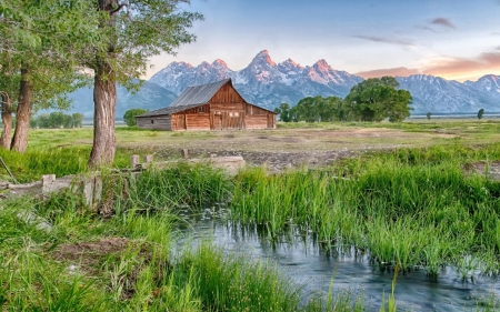 Nature - Nature, landscape, grass, mount, tree