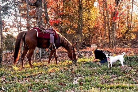 Many Friends - style, girls, western, women, models, cowgirls, outdoors, horses, dogs, fun, female, boots, fashion