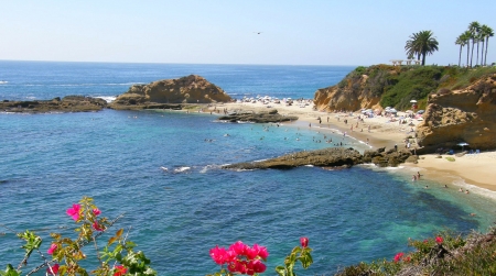 Laguna Beach CA - flowers, laguna beach, ocean, sand