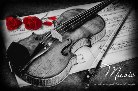 Music.... - roses, music, magic, violin, rose, red roses