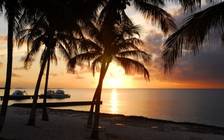 Tropical Beach - beach, trees, paradise, tropical, sunset, shore, palm, nature, reflection, sand, sea