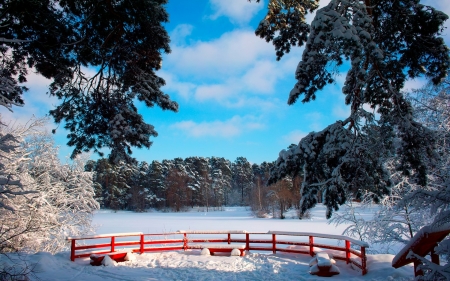 Winter Park - branches, benches, bridge, snow