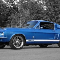 Shelby GT500