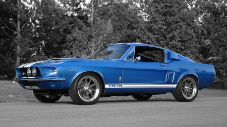 Shelby GT500 - car, old-timer, mustang, ford, gt 500