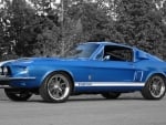 Shelby GT500