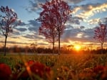 Sunrise at autumn field