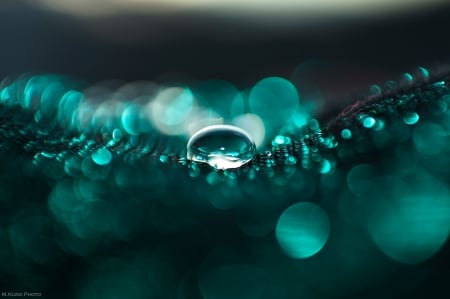 Water drops - bokeh, green, glitter, water drops