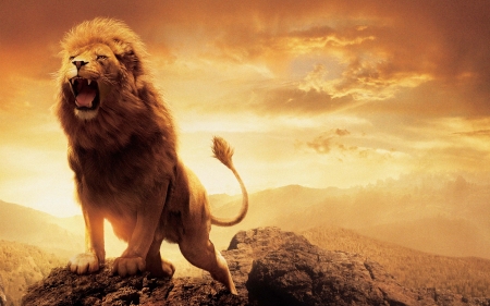 Aslan - aslan, narnia, lion, movie