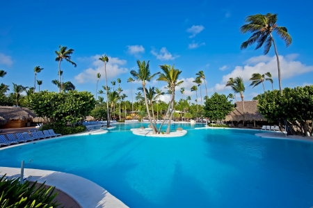 Beach - shore, palms, tropical, summer, beach, palm trees, sea, paradise