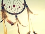 Dream Catcher 1