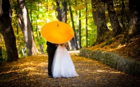 Love - umbrella, wedding, Love, kiss, couple