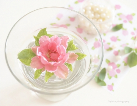 â™¥ - flower, pink, bowl, soft