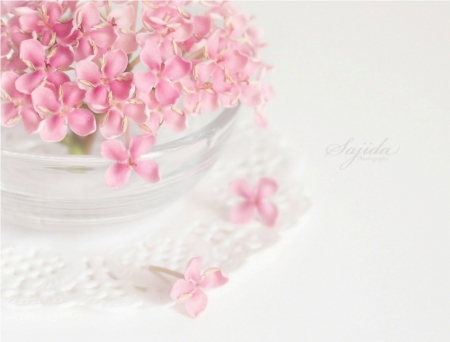 â™¥ - flowers, pink, bowl, soft