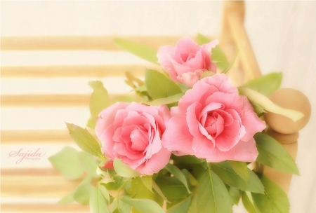 â™¥ - flowers, roses, photography, soft