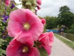 Kennet and Avon Canal Nr Bath