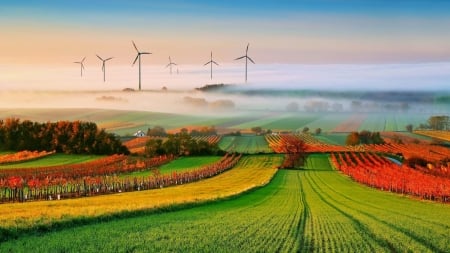 windmills in colorful fields on a foggy morning