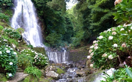 Charming Waterfalls - nature, stone, trees, forest, flowers, waterfall