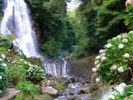 Charming Waterfalls