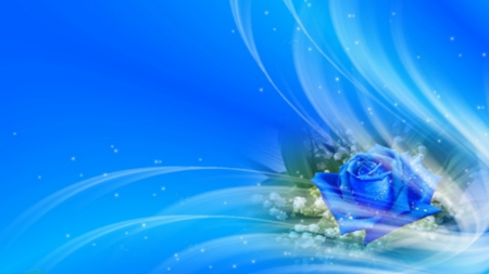 ~*~ Suavity ~*~ - abstract, romantic, hd wallpaper, delicate, blue rose