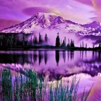 Purple Mountains