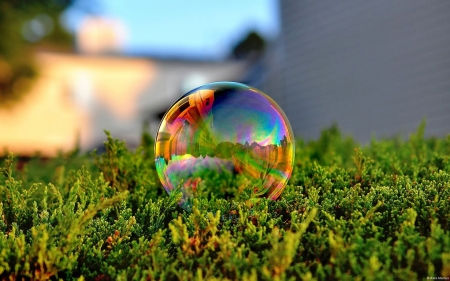 Bubble - abstract, fun, game, close-up, summer, photography, toy, bubble, colours, colorful, funny, macro, wallpaper