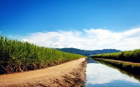 Path - path, nature, river, grass