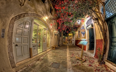 lovely side street hdr - fisheye, stores, hdr, city, tree, side street